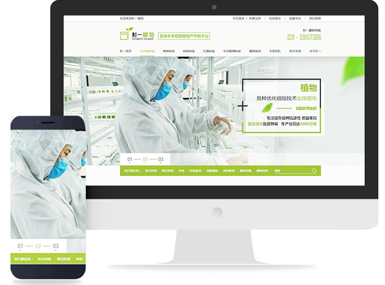 網站建設 打造高效、美觀的在線平臺